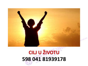 Cilj u životu