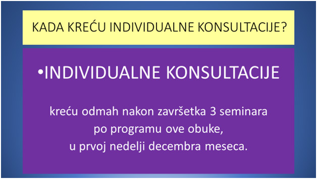 Indvidualne konsultacije 2