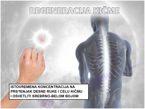 Regeneracija kičme